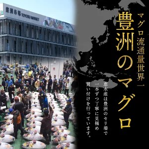豊洲のマグロ