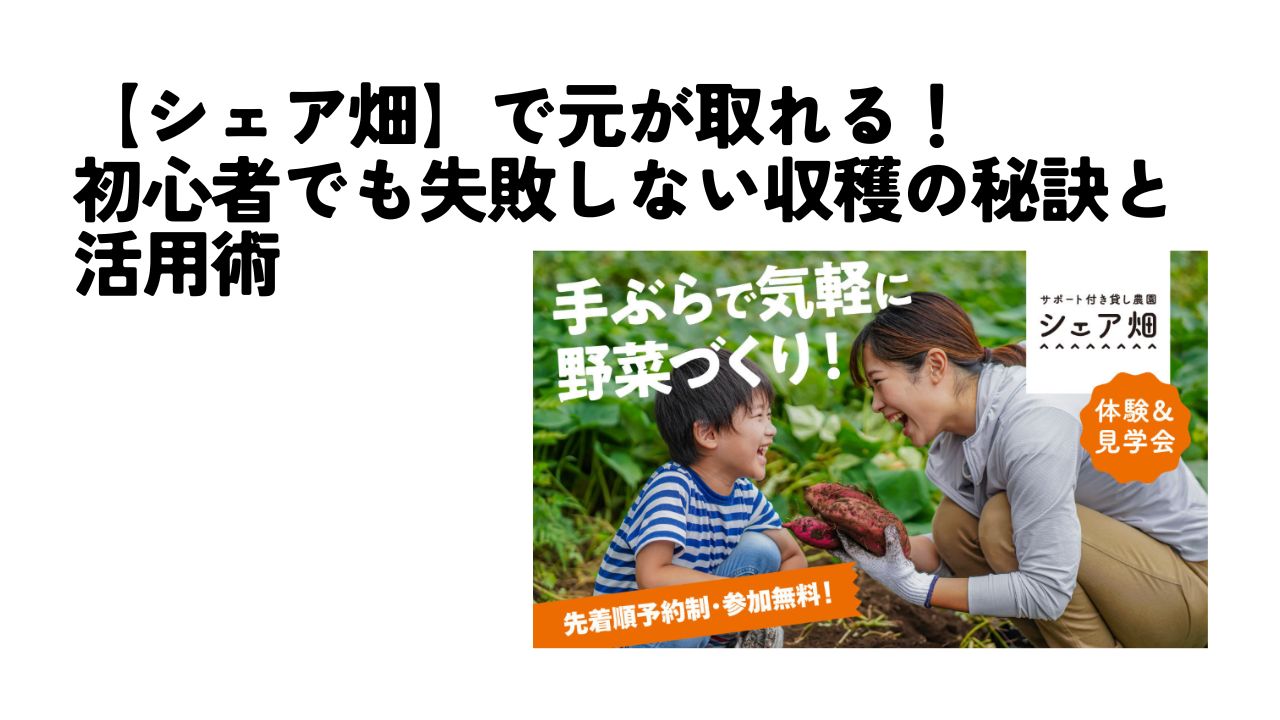 シェア畑　元取れる