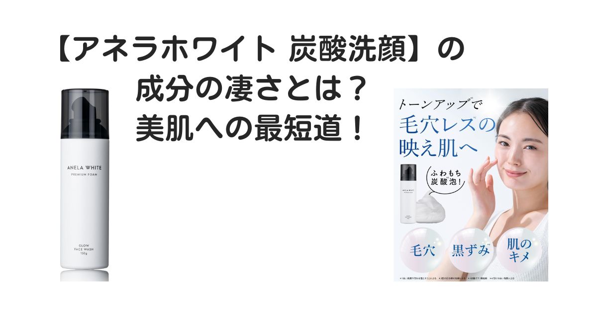 アネラホワイト炭酸洗顔　　成分